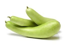 fresh bottle gourd