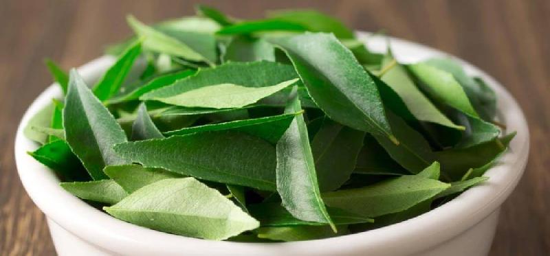 Fresh Curry Leaves