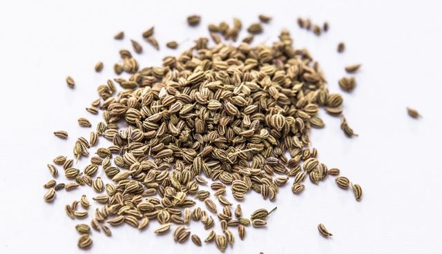 Carom Seed Powder (Trachyspermum Ammi)