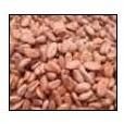 Dried Cocoa Beans