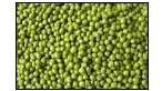 green mung beans