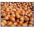 Hazelnuts