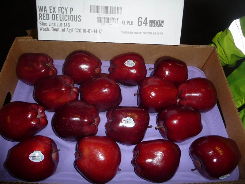 Red Delicious Apple Washington State USA
