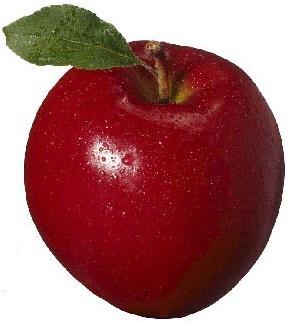 Rome Apple