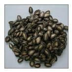 Natural Watermelon Seed