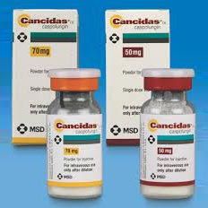 Cancidas Drugs