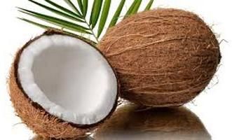 coconut