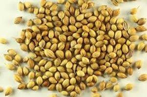 coriander seed