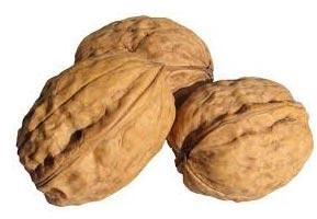 Dried Walnut