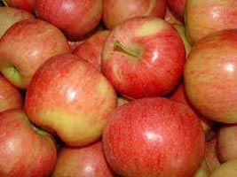 Fresh Fuji Apple