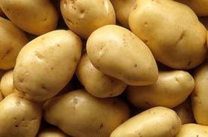 fresh potatoes