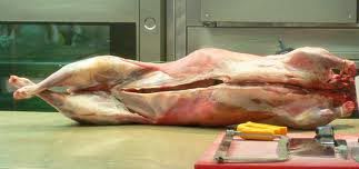 Lamb Carcass/Meat