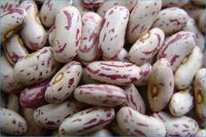 light speckled kidney beans