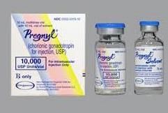 Pregnyl Drug