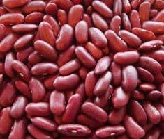 red kidney beans
