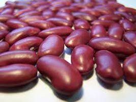 Red  Kidney  Bean