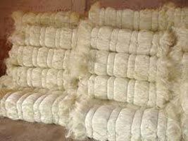 Sisal Fiber From Turkey