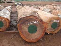 Iroko Wood