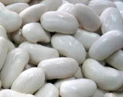 White Kidney Bean
