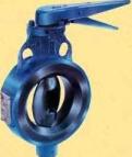 Audco Aquaseal Butterfly Valve