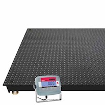Platform and Pallet Scales