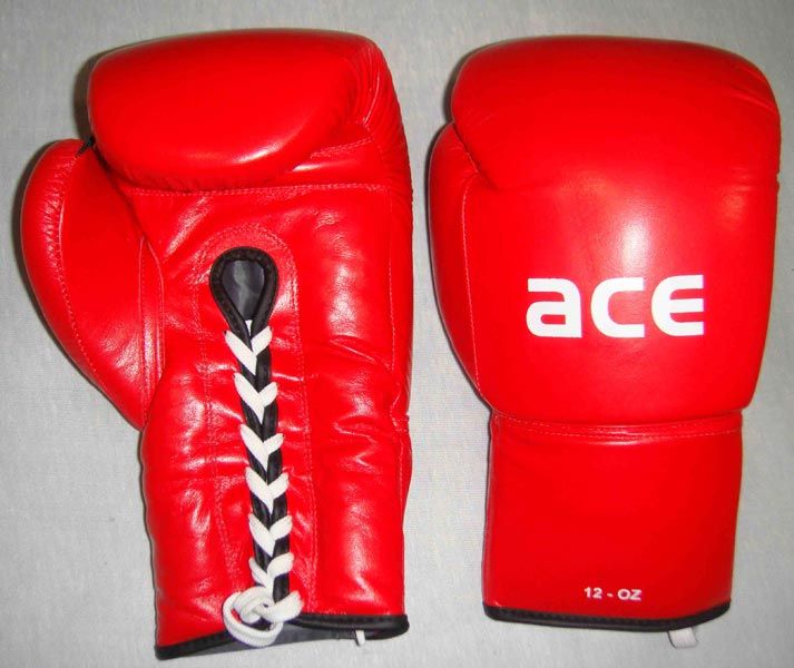 Manufacturer of UPS from Sialkot, Pakistan by ACE