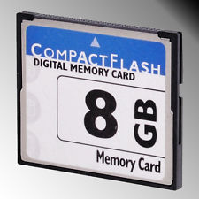 Compact Flash Drives