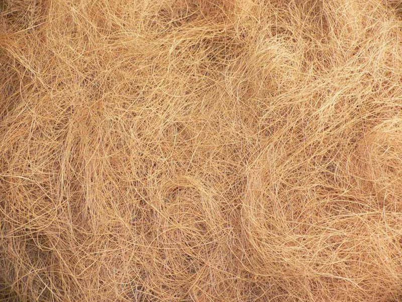 coir fiber