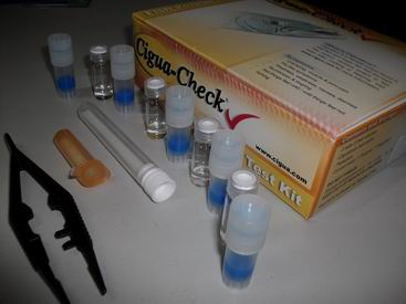 Botulinus TypeA B Pcr Diagnostic Kit