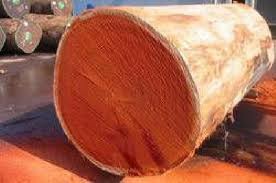 Hemlock Laminated Timber