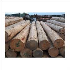 Sapelli Logs, Sawn Timber