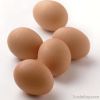 Hatching Broiler Eggs