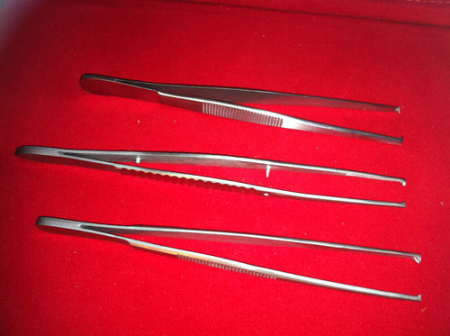 Desecting Tooth Tissue Forceps