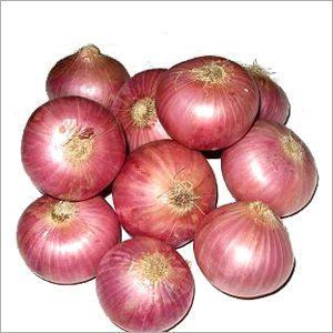 onion