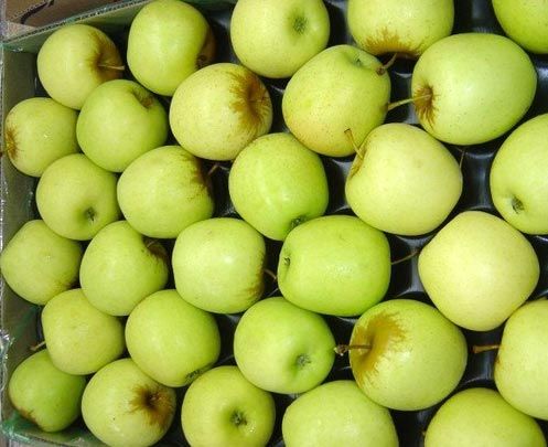 South African Apples