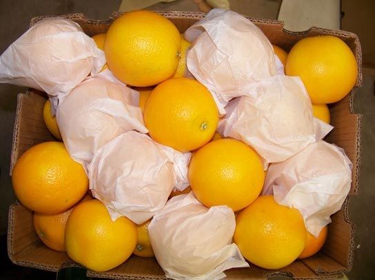 South African Oranges