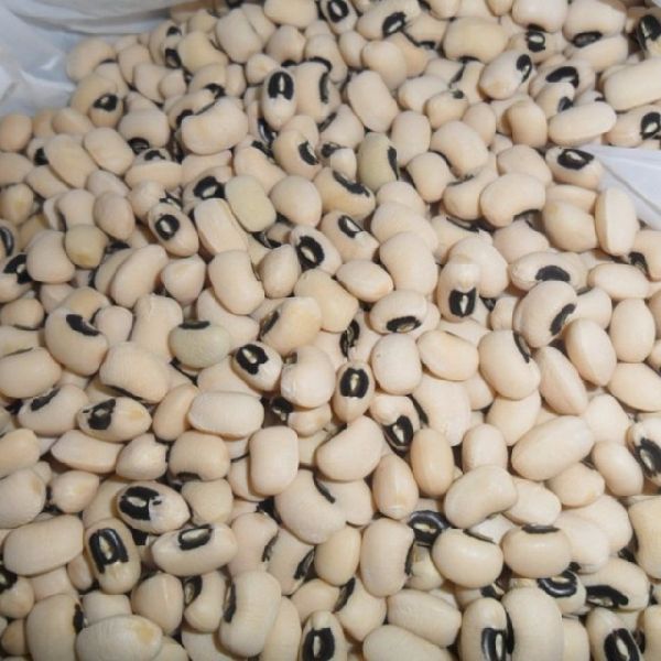 Black eyed Beans / Urad Vigna Beans