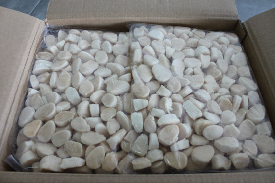 Grade A Quality Frozen Sea Scallop For Sale