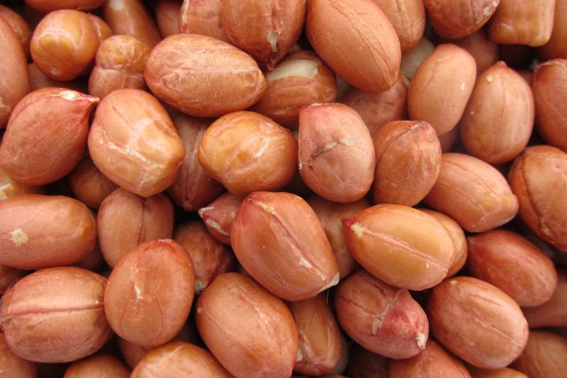 High Grade Raw Peanuts and Peanuts for sale
