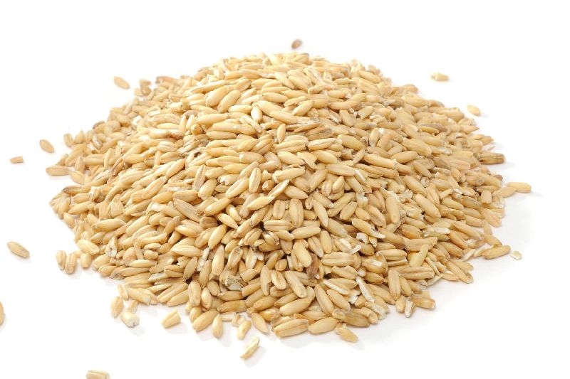 oat grain Oats/Hulled Oats