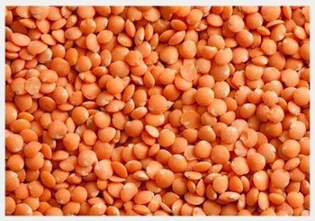 Premium Quality Split Red Lentils For Export