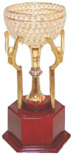 Cup Shaped Diamond Trophy
