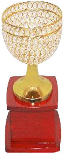 Diamond Cup Trophy