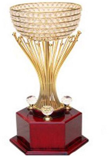 Diamond Cup Trophy On Brown Base