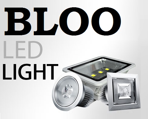 Bloo Led Outdoor Light