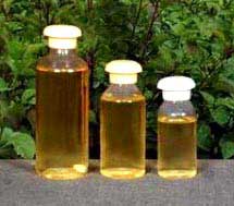 Holy Basil Oil