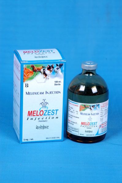 Meloxicam Injection