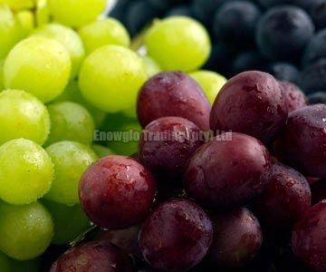 Fresh Grapes, Green and Red (with and Without Seeds)