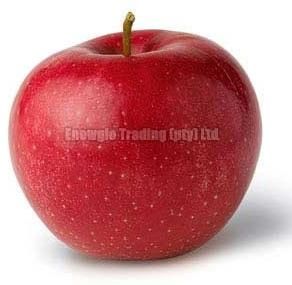 Fresh Red Apple