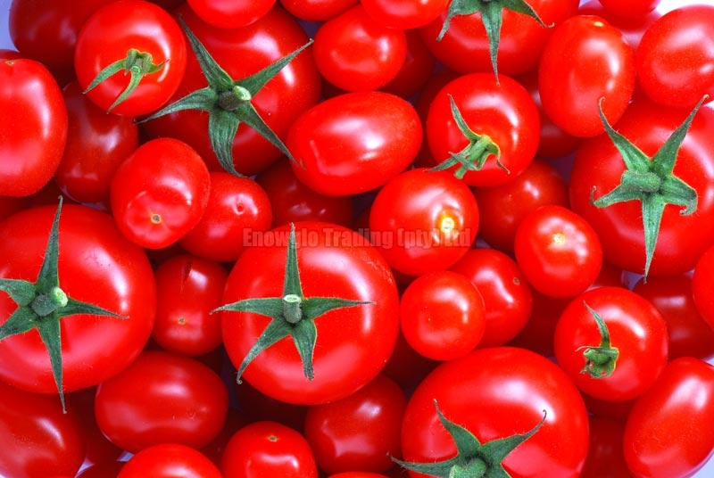 fresh tomato